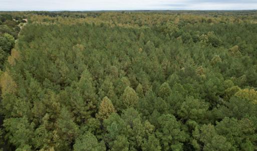 Photo #12 of SOLD property in 627 Sports Lake Road, New Canton, VA 42.6 acres