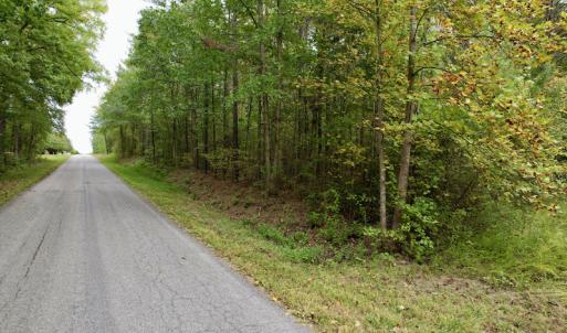 Photo #13 of SOLD property in 627 Sports Lake Road, New Canton, VA 42.6 acres