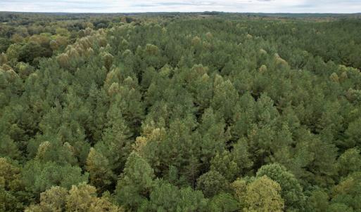 Photo #16 of SOLD property in 627 Sports Lake Road, New Canton, VA 42.6 acres