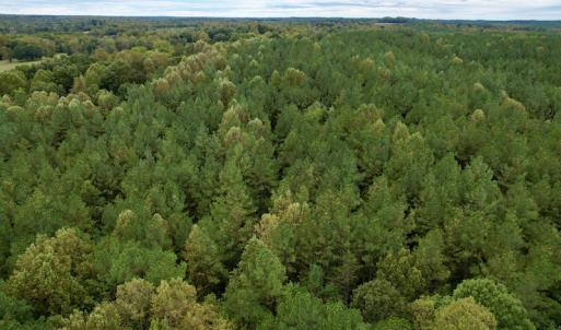 Photo #17 of SOLD property in 627 Sports Lake Road, New Canton, VA 42.6 acres