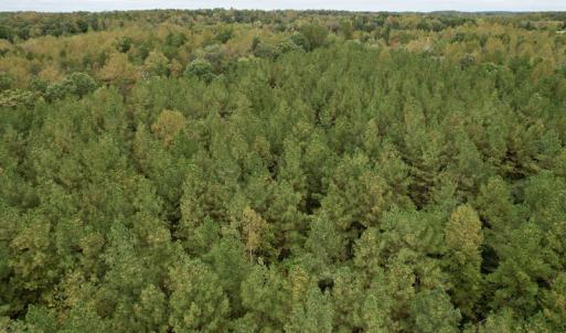 Photo #19 of SOLD property in 627 Sports Lake Road, New Canton, VA 42.6 acres