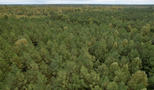 Photo #20 of SOLD property in 627 Sports Lake Road, New Canton, VA 42.6 acres