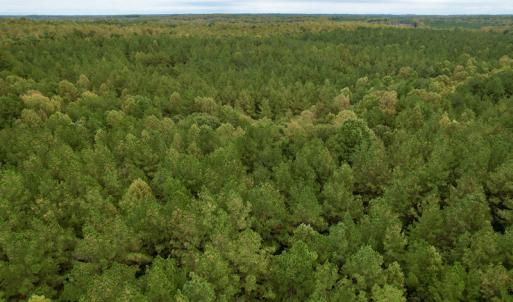 Photo #22 of SOLD property in 627 Sports Lake Road, New Canton, VA 42.6 acres