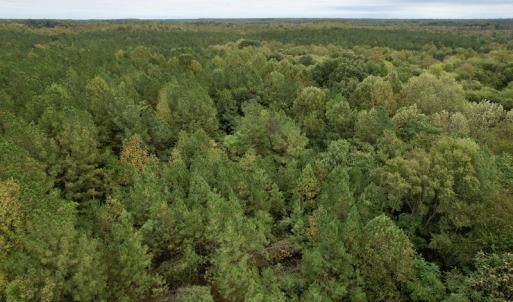 Photo #23 of SOLD property in 627 Sports Lake Road, New Canton, VA 42.6 acres