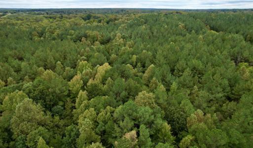 Photo #24 of SOLD property in 627 Sports Lake Road, New Canton, VA 42.6 acres