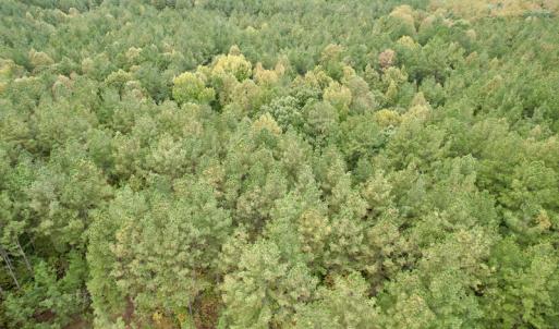 Photo #25 of SOLD property in 627 Sports Lake Road, New Canton, VA 42.6 acres