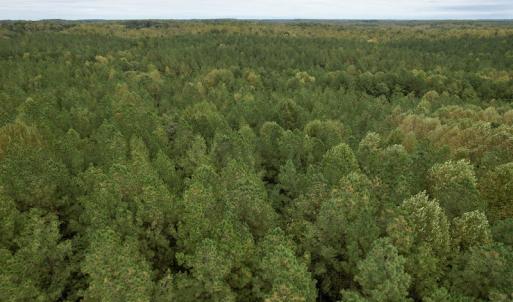 Photo #26 of SOLD property in 627 Sports Lake Road, New Canton, VA 42.6 acres