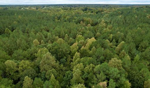 Photo #27 of SOLD property in 627 Sports Lake Road, New Canton, VA 42.6 acres