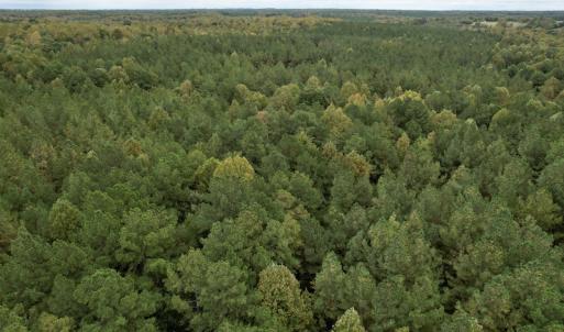 Photo #28 of SOLD property in 627 Sports Lake Road, New Canton, VA 42.6 acres