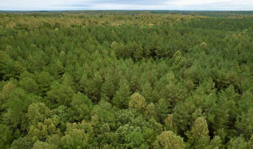 Photo #29 of SOLD property in 627 Sports Lake Road, New Canton, VA 42.6 acres