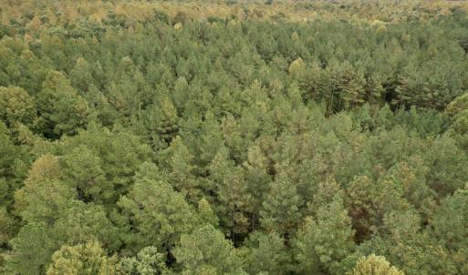 Photo #30 of SOLD property in 627 Sports Lake Road, New Canton, VA 42.6 acres