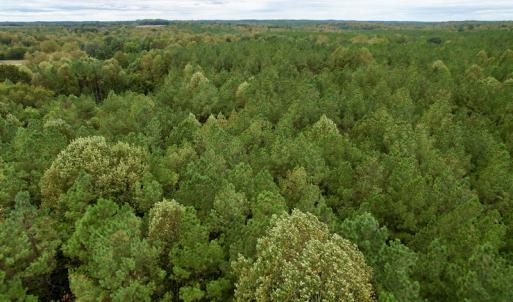 Photo #31 of SOLD property in 627 Sports Lake Road, New Canton, VA 42.6 acres