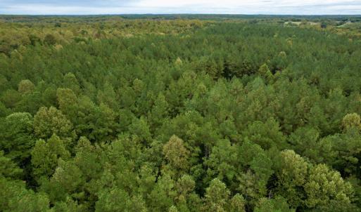 Photo #32 of SOLD property in 627 Sports Lake Road, New Canton, VA 42.6 acres
