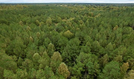 Photo #33 of SOLD property in 627 Sports Lake Road, New Canton, VA 42.6 acres