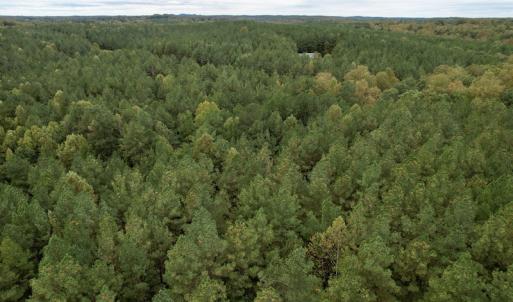 Photo #34 of SOLD property in 627 Sports Lake Road, New Canton, VA 42.6 acres