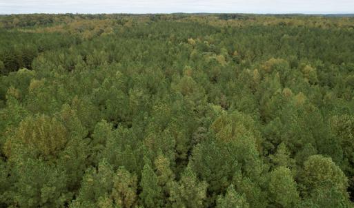 Photo #35 of SOLD property in 627 Sports Lake Road, New Canton, VA 42.6 acres