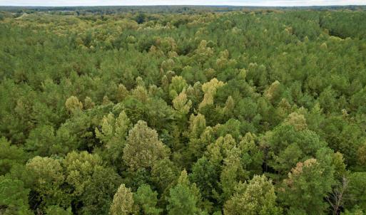 Photo #36 of SOLD property in 627 Sports Lake Road, New Canton, VA 42.6 acres