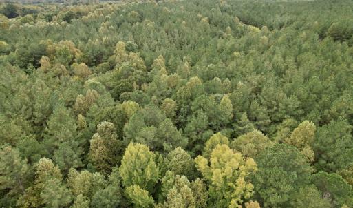 Photo #37 of SOLD property in 627 Sports Lake Road, New Canton, VA 42.6 acres