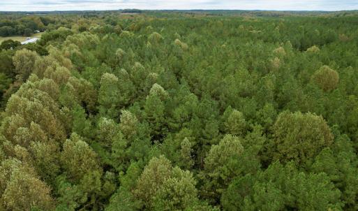 Photo #38 of SOLD property in 627 Sports Lake Road, New Canton, VA 42.6 acres