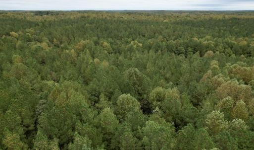 Photo #39 of SOLD property in 627 Sports Lake Road, New Canton, VA 42.6 acres