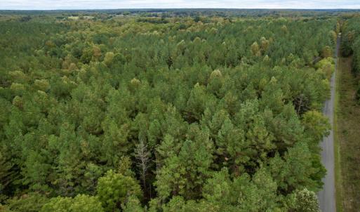 Photo #4 of SOLD property in 627 Sports Lake Road, New Canton, VA 42.6 acres