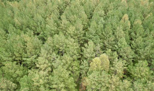 Photo #40 of SOLD property in 627 Sports Lake Road, New Canton, VA 42.6 acres