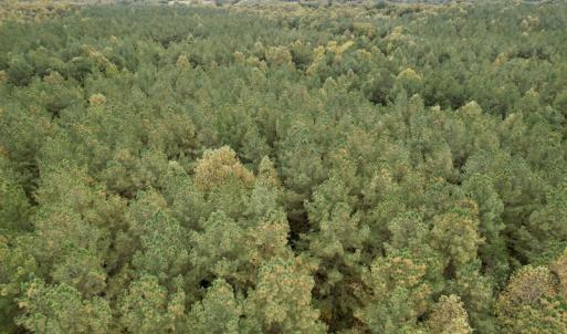 Photo #41 of SOLD property in 627 Sports Lake Road, New Canton, VA 42.6 acres