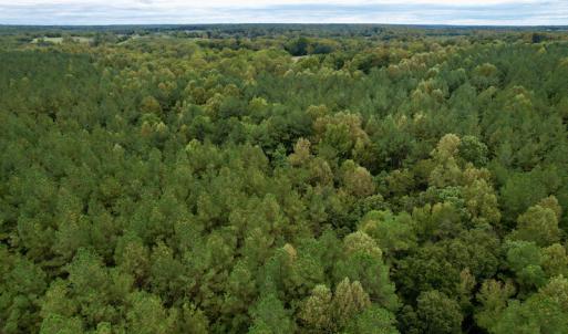 Photo #42 of SOLD property in 627 Sports Lake Road, New Canton, VA 42.6 acres