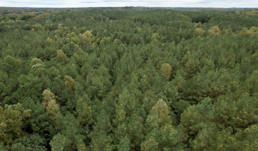 Photo #43 of SOLD property in 627 Sports Lake Road, New Canton, VA 42.6 acres