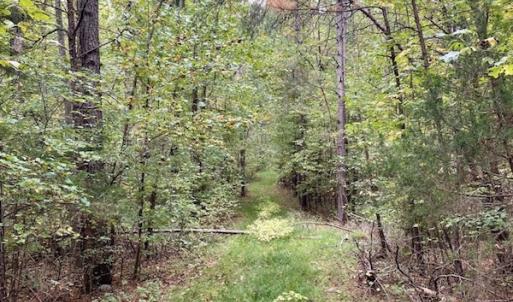 Photo #44 of SOLD property in 627 Sports Lake Road, New Canton, VA 42.6 acres