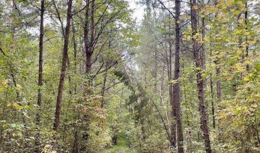 Photo #45 of SOLD property in 627 Sports Lake Road, New Canton, VA 42.6 acres