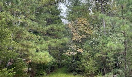 Photo #46 of SOLD property in 627 Sports Lake Road, New Canton, VA 42.6 acres