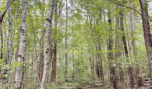 Photo #49 of SOLD property in 627 Sports Lake Road, New Canton, VA 42.6 acres