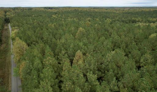 Photo #5 of SOLD property in 627 Sports Lake Road, New Canton, VA 42.6 acres