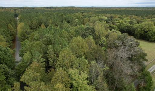 Photo #6 of SOLD property in 627 Sports Lake Road, New Canton, VA 42.6 acres