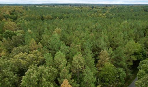 Photo #7 of SOLD property in 627 Sports Lake Road, New Canton, VA 42.6 acres