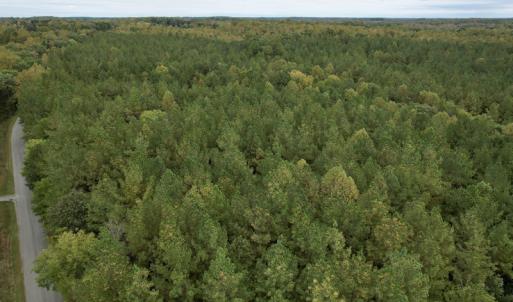 Photo #8 of SOLD property in 627 Sports Lake Road, New Canton, VA 42.6 acres