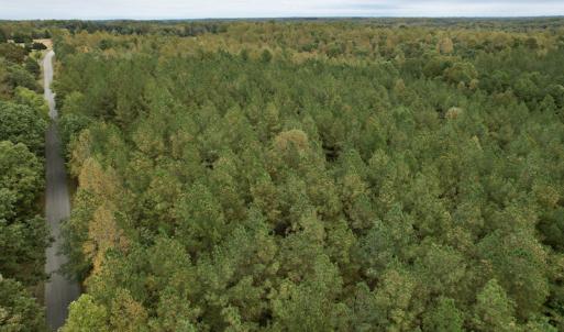 Photo #9 of SOLD property in 627 Sports Lake Road, New Canton, VA 42.6 acres