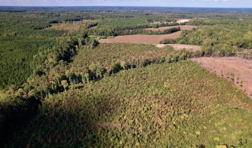Photo #9 of SOLD property in Off Warrenton-Embro Road, Warrenton, NC 38.0 acres