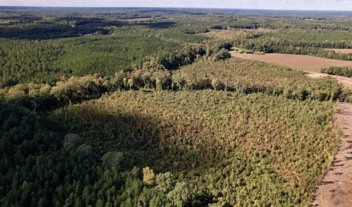 Photo #10 of SOLD property in Off Warrenton-Embro Road, Warrenton, NC 38.0 acres