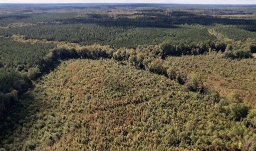 Photo #12 of SOLD property in Off Warrenton-Embro Road, Warrenton, NC 38.0 acres