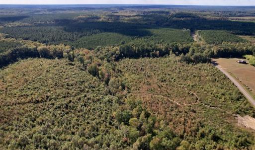 Photo #13 of SOLD property in Off Warrenton-Embro Road, Warrenton, NC 38.0 acres