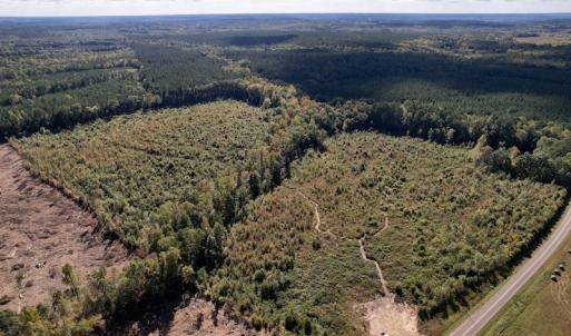 Photo #14 of SOLD property in Off Warrenton-Embro Road, Warrenton, NC 38.0 acres