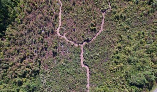 Photo #16 of SOLD property in Off Warrenton-Embro Road, Warrenton, NC 38.0 acres