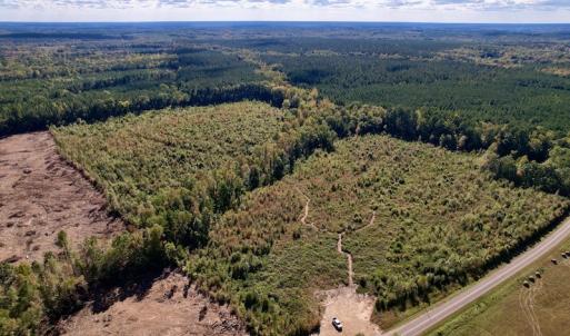 Photo #2 of SOLD property in Off Warrenton-Embro Road, Warrenton, NC 38.0 acres