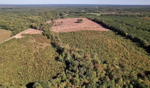 Photo #6 of SOLD property in Off Warrenton-Embro Road, Warrenton, NC 38.0 acres