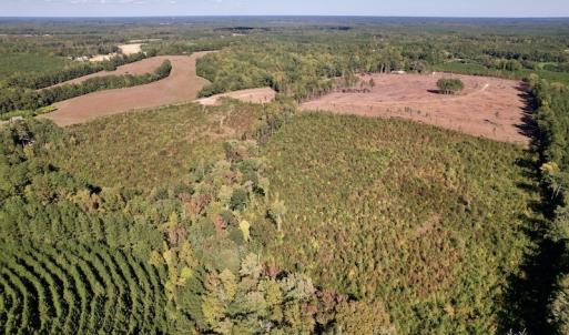 Photo #7 of SOLD property in Off Warrenton-Embro Road, Warrenton, NC 38.0 acres