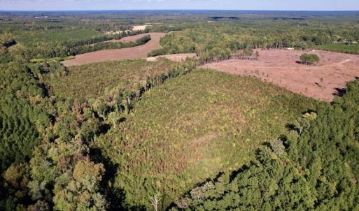 Photo #8 of SOLD property in Off Warrenton-Embro Road, Warrenton, NC 38.0 acres