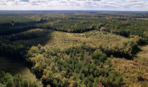Photo #9 of SOLD property in Off Rowe Road, Warrenton, NC 15.0 acres