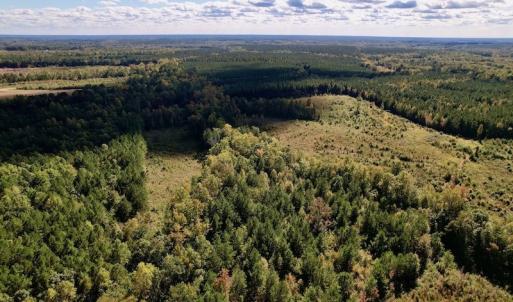 Photo #10 of SOLD property in Off Rowe Road, Warrenton, NC 15.0 acres